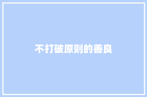 不打破原则的善良