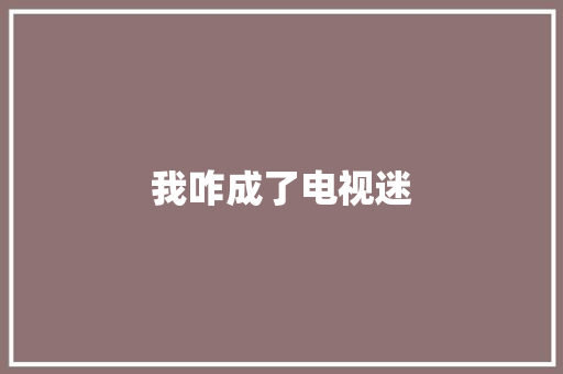 我咋成了电视迷