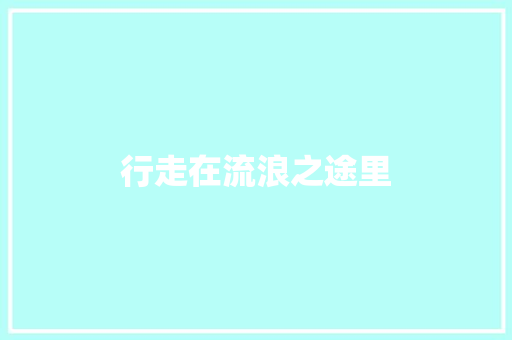 行走在流浪之途里