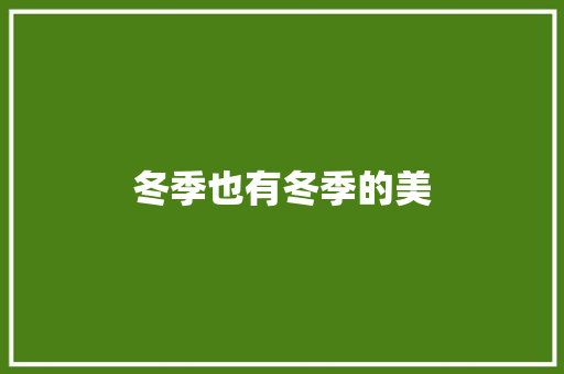 冬季也有冬季的美