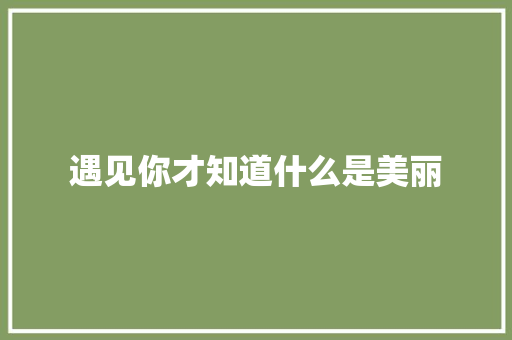 遇见你才知道什么是美丽
