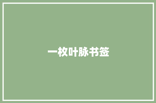 一枚叶脉书签