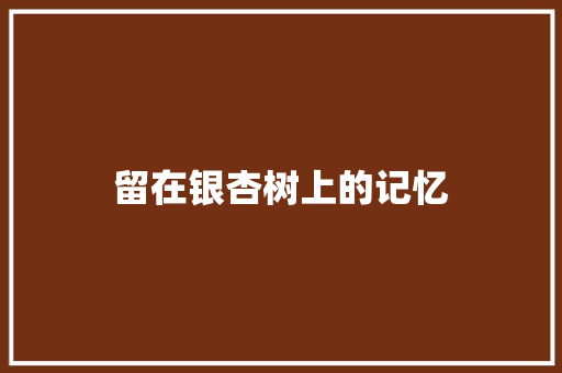 留在银杏树上的记忆