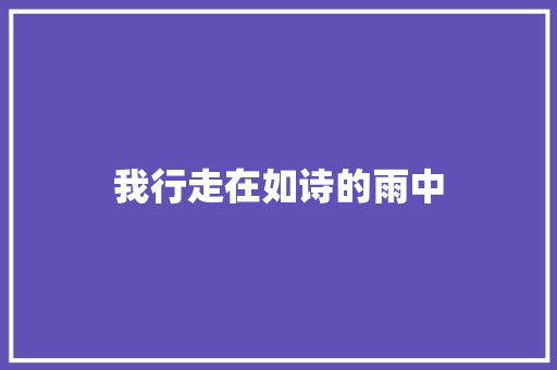我行走在如诗的雨中