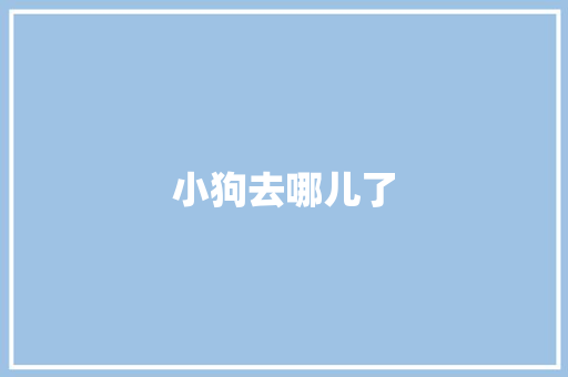 小狗去哪儿了