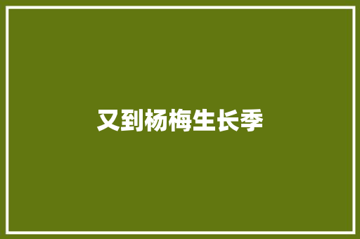 又到杨梅生长季