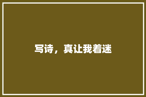 写诗，真让我着迷