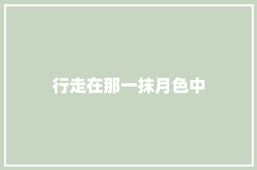 行走在那一抹月色中
