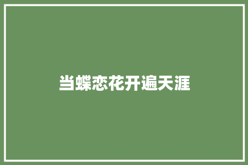当蝶恋花开遍天涯
