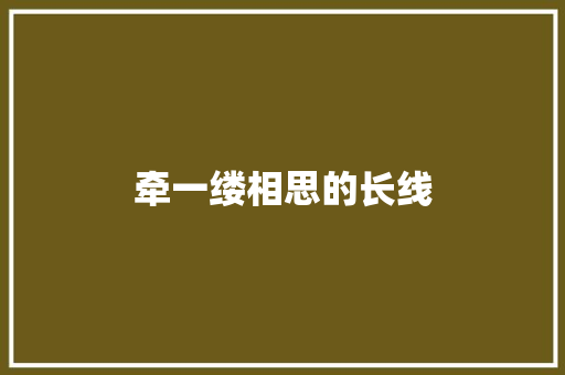 牵一缕相思的长线