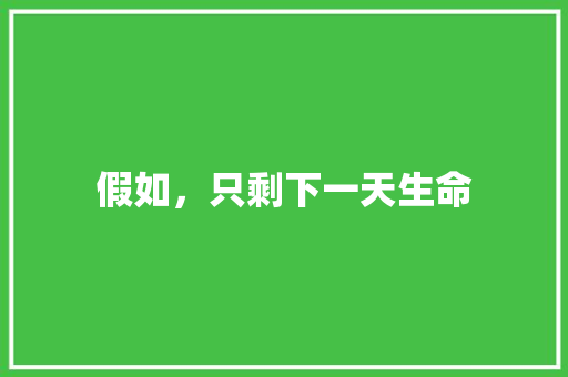 假如，只剩下一天生命