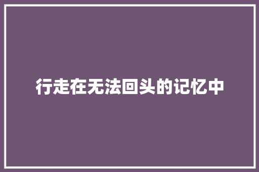 行走在无法回头的记忆中