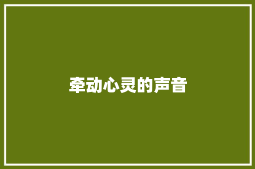 牵动心灵的声音
