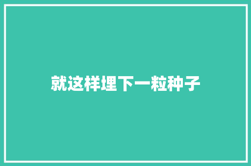 就这样埋下一粒种子