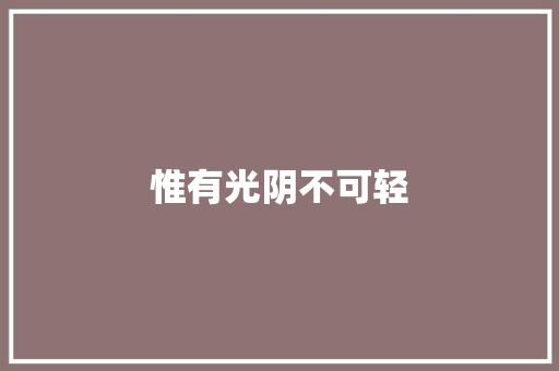 惟有光阴不可轻