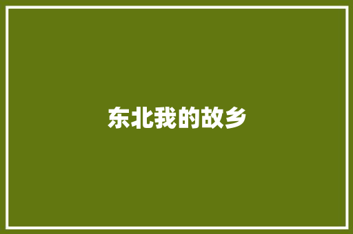 东北我的故乡