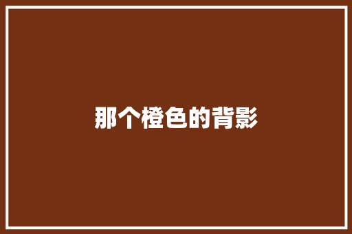 那个橙色的背影