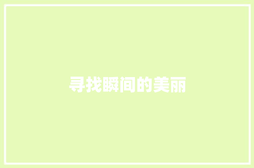 寻找瞬间的美丽