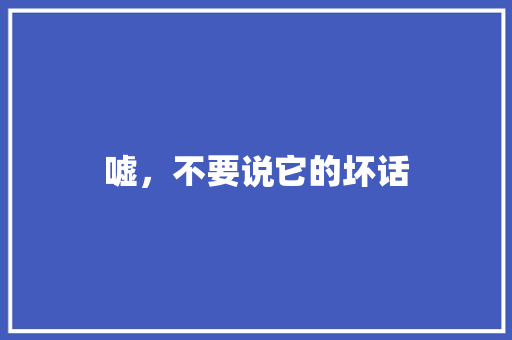 嘘，不要说它的坏话