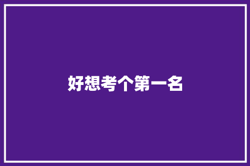 好想考个第一名