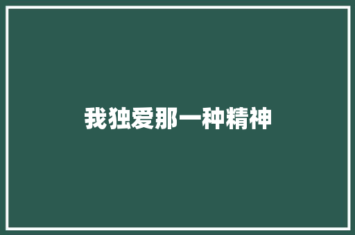我独爱那一种精神