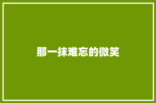 那一抹难忘的微笑
