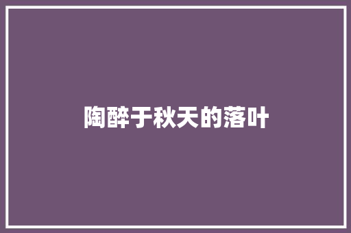陶醉于秋天的落叶