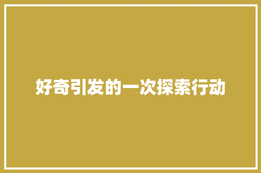 好奇引发的一次探索行动