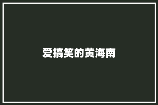 爱搞笑的黄海南