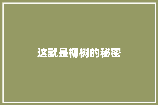这就是柳树的秘密