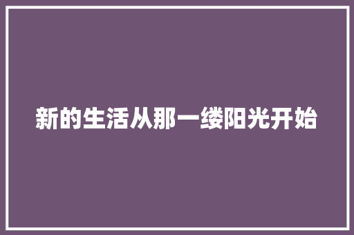新的生活从那一缕阳光开始