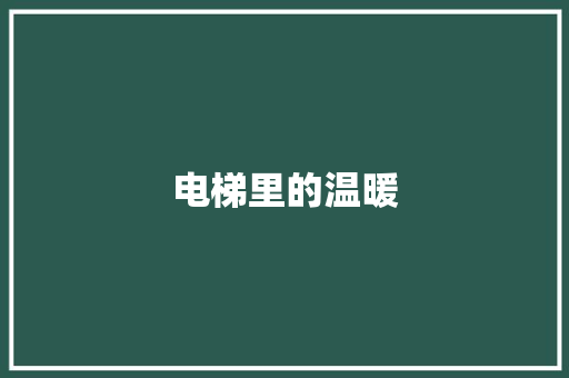 电梯里的温暖