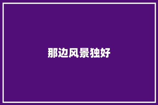 那边风景独好