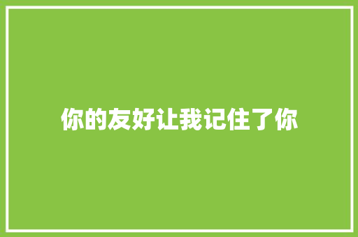 你的友好让我记住了你