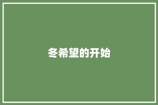 冬希望的开始