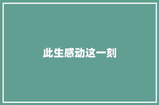 此生感动这一刻