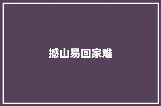 撼山易回家难