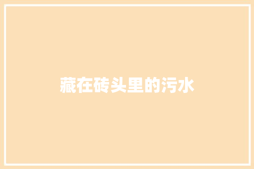 藏在砖头里的污水 知识百科
