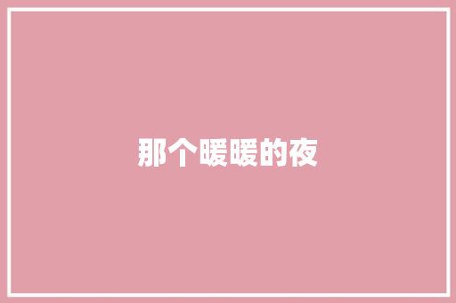 那个暖暖的夜