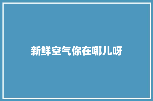 新鲜空气你在哪儿呀