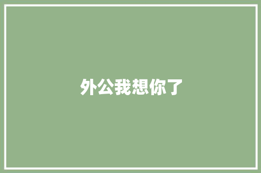 外公我想你了