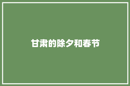 甘肃的除夕和春节
