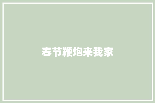 春节鞭炮来我家