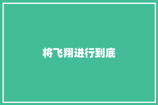 将飞翔进行到底
