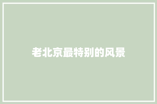 老北京最特别的风景