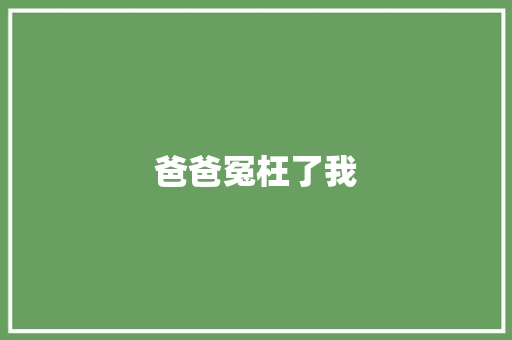 爸爸冤枉了我