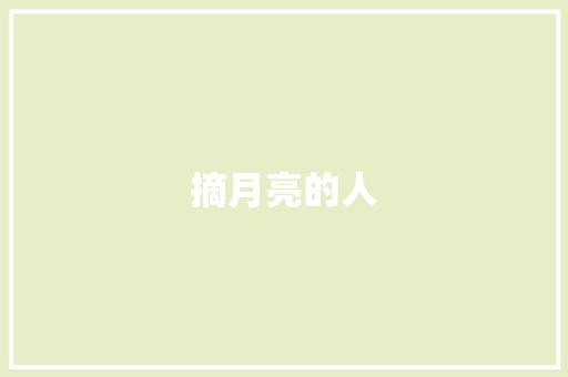 摘月亮的人