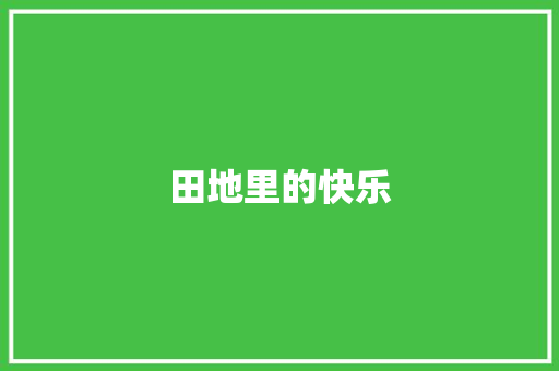 田地里的快乐
