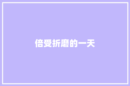 倍受折磨的一天