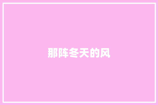 那阵冬天的风